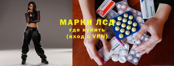 мяу мяу мука Магас