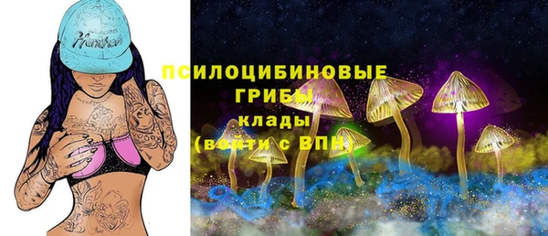мяу мяу мука Магас
