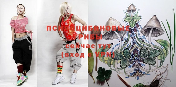 бутират Медвежьегорск