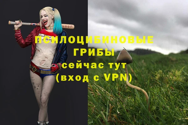 герыч Мегион